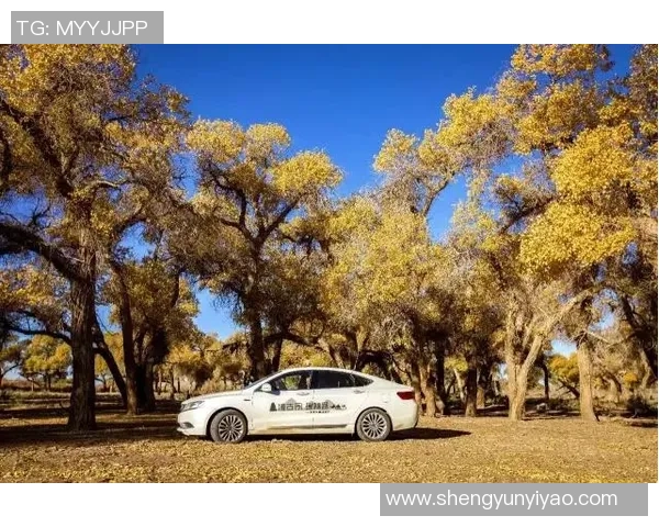 河床与波诺特山丘的奇妙对话探索自然与人文的交融之美