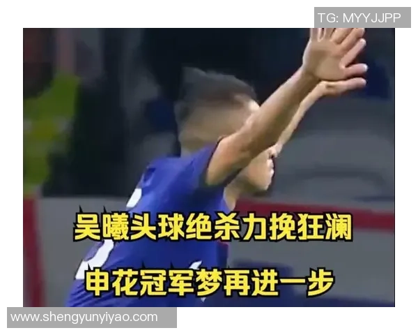 申花与辽宁精彩对决录像回放央视全面解析比赛亮点与精彩瞬间